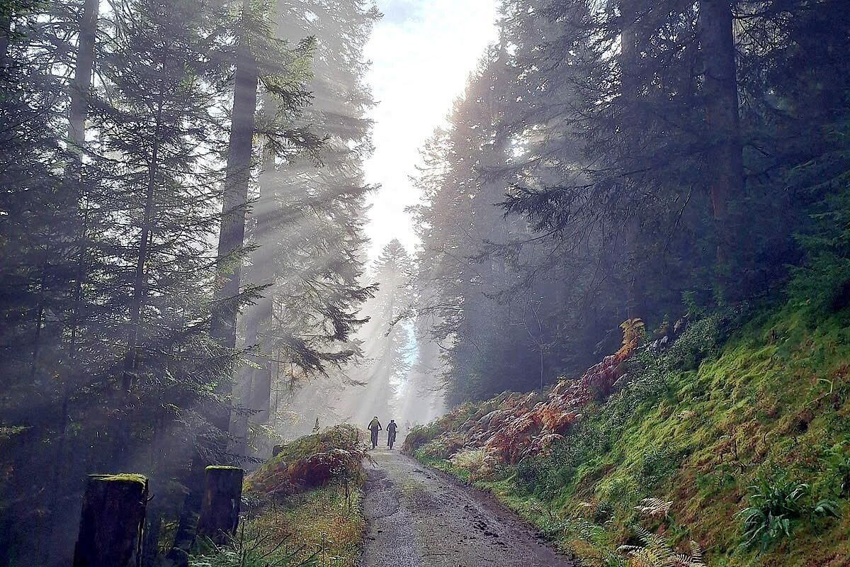 MTB Reutlingen