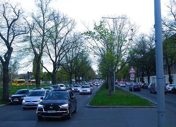 Tempelhofer Damm Richtung Süden, mit Straßenbäumen. Diese Bäume sind durch die Senatsverwaltung SenVMKU von der Fällung bedroht. Foto vom Tempelhofer Damm, vom begrünten Mittelstreifen aus Richtung Süden betrachtet. Rechts und links fahren auf jeweils zwei Fahrspuren Autos. Sowohl auf dem Mitteistreifen als auch am Fahrbahnrand stehen Bäume.